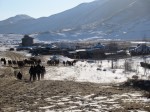 IMG_0380.JPG