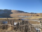 IMG_0384.JPG