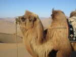 IMG_0432.JPG