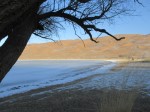 IMG_0460.JPG