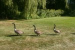 IMG_6749.JPG