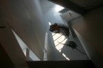 IMG_6826.JPG