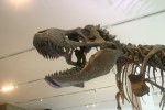 IMG_6832.JPG