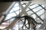 IMG_6835.JPG
