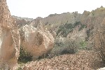 IMG_5030.jpg