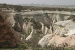 IMG_5031.jpg