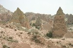 IMG_5041.jpg