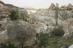 IMG_5043.jpg