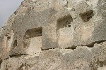 IMG_5045.jpg
