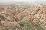 IMG_5061.jpg