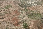 IMG_5066.jpg