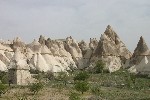 IMG_5086.jpg