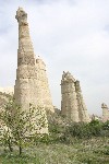 IMG_5090.jpg