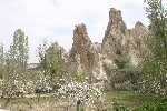 IMG_5092.jpg