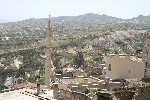 IMG_5100.jpg