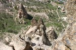 IMG_5103.jpg