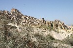 IMG_5111.jpg