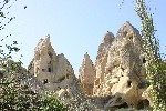 IMG_5118.jpg