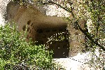 IMG_5124.jpg