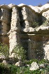 IMG_5125.jpg