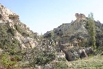 IMG_5128.jpg