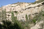 IMG_5132.jpg