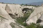 IMG_5145.jpg