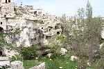 IMG_5155.jpg
