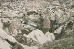 IMG_5156.jpg