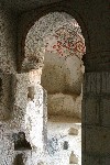 IMG_5164.jpg
