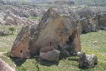 IMG_5170.jpg