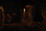 IMG_5195.jpg