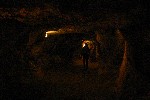 IMG_5197.jpg