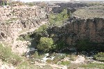 IMG_5199.jpg