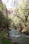 IMG_5211.jpg
