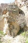 IMG_5212.jpg