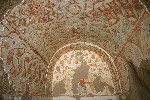 IMG_5218.jpg