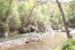 IMG_5225.jpg