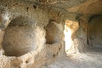 IMG_5234.jpg