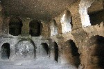 IMG_5237.jpg