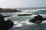 IMG_8063.JPG