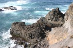 IMG_8066.JPG