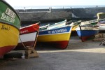 IMG_8067.JPG