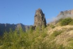 IMG_8175.JPG