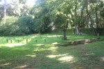 IMG_7587.JPG