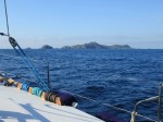 IMG_0591_2.JPG