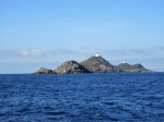 IMG_0596_2.JPG