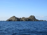 IMG_0597_2.JPG