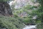 IMG_4234.jpg