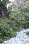 IMG_4236.jpg